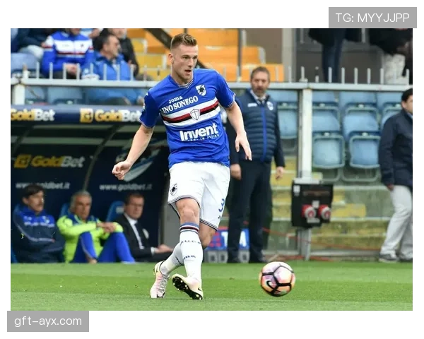 什克里尼亚尔关键表现